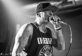 Hed PE
