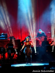 St. Louis concert photos