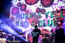 St Louis concert photos.
