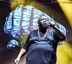 Run the Jewels' Killer Mike