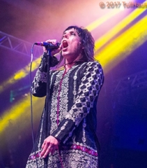 concert photos of the Struts