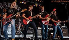 The Outlaws guitarists.