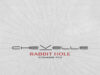 Chevelle: Release Rabbit Hole (Cowards, Pt 1) Chevelle